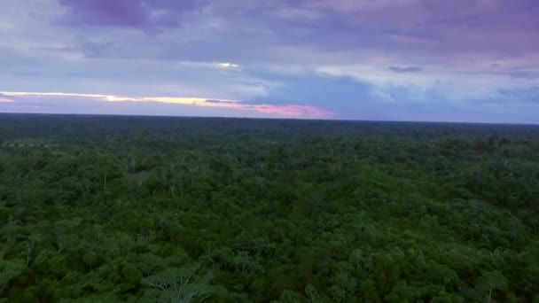 Αεροφωτογραφία Πάνω Από Τεράστιο Τροπικό Δάσος Του Αμαζονίου Στη Νότια — Αρχείο Βίντεο