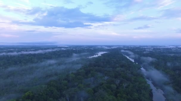 Αεροφωτογραφία Πάνω Από Τεράστιο Τροπικό Δάσος Του Αμαζονίου Στη Νότια — Αρχείο Βίντεο