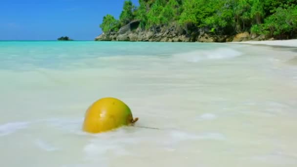 Noix Coco Flottant Dans Les Eaux Tropicales Cristallines Lagune Big — Video