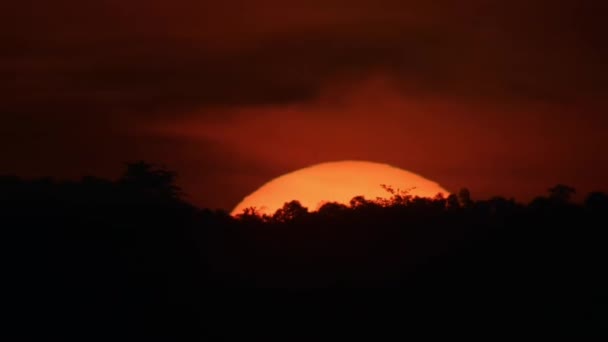 Sunset Timelapse Med Skog Siluett Bakgrund Dramatiska Sundown Landskap — Stockvideo