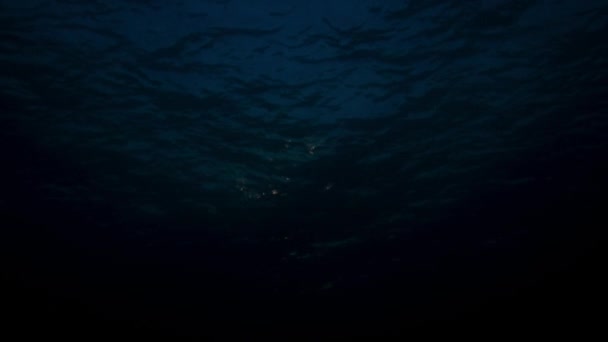 Büyük Set Resifi Avustralya Gece Mercan Resifi Nin Yakınında — Stok video