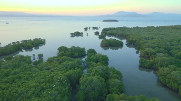 Flygfoto Över Hinchinbrook Island National Park Från Fastlandet Queensland Australien — Stockvideo