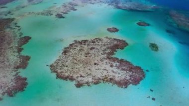 Dünyanın en büyük bariyer resifi Büyük Set Mercan Resifi Mercan Pasifik Okyanusu Queensland Avustralya 'yı çeken drone..