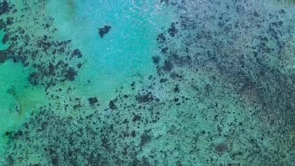 Drohnen Dolly Bild Des Weltgrößten Barriereriffs Great Barrier Reef Korallen — Stockvideo