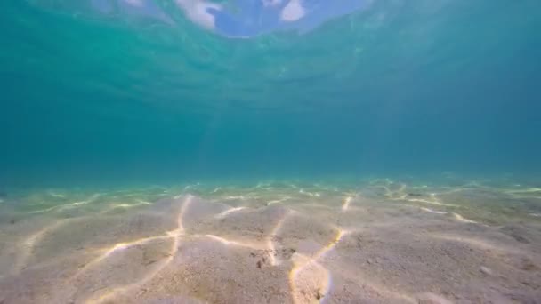 太陽は浅い水の砂平野と青い水を通して輝きます 熱帯の海でシュノーケリング グレートバリアリーフ オーストラリア — ストック動画