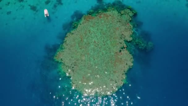 Drohnen Dolly Bild Des Weltgrößten Barriereriffs Great Barrier Reef Korallen — Stockvideo