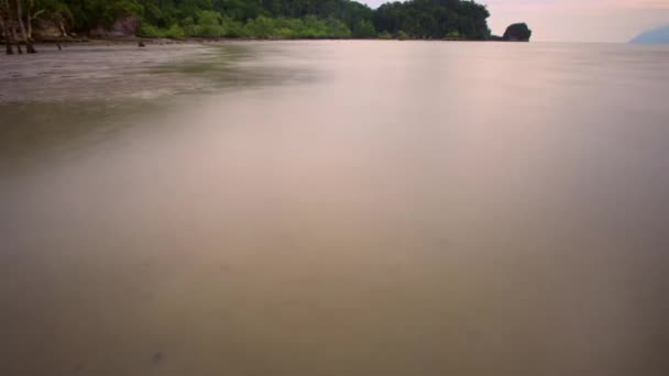 Lasso Tempo Della Marea Degli Alberi Mangrovie Negli Estuari Marini — Video Stock