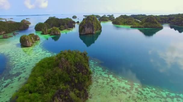 Zdjęcie Lotnicze Pięknej Turkusowej Wody Koralami Skałami Płytkiej Wodzie Tropics — Wideo stockowe