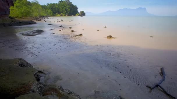 Mangrove Ağaçlarının Zaman Aşımına Uğraması Endonezya Kıyılarında Deniz Halkları Gelgitleri — Stok video