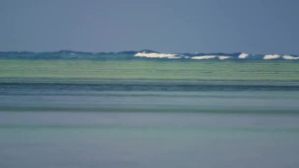 Paisagem Extensa Mar Mar Azul Bonito Grandes Ondas Calmas Flutuam — Vídeo de Stock