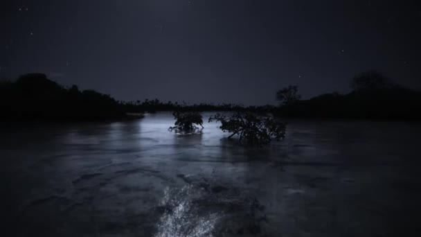 Tidvattnet För Mangrove Träd Havsflodmynningar Tidvattenlera Natten Indonesiens Kust — Stockvideo