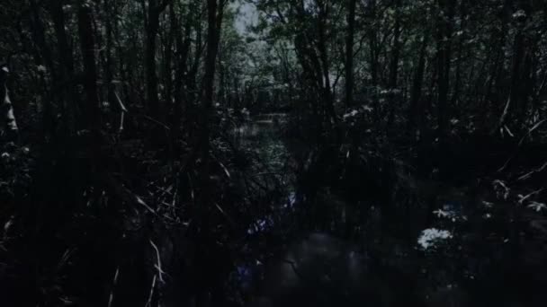 Приплив Мангрових Дерев Морських Естуаріях Приплив Припливного Бруду Вночі Узбережжя — стокове відео