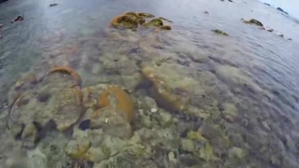 Timelapse Beautiful Turquoise Water Corals Rocks Shallow Water Tropics Raja — Vídeo de stock