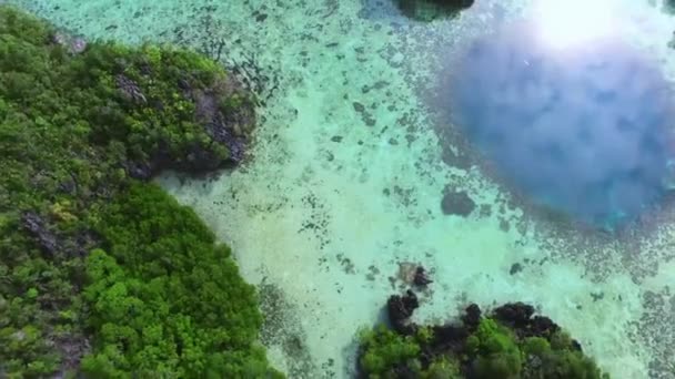 印度尼西亚拉贾安帕塔 热带浅水区美丽的蓝绿色海水与珊瑚和岩石的空中拍摄 — 图库视频影像