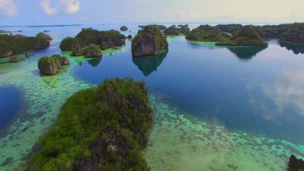 Повітряний Постріл Чудової Бірюзової Води Коралами Каменями Мілководді Тропіках Раджа — стокове відео