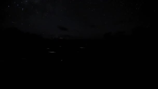 Час Вирубки Мангрових Дерев Морських Естуаріях Припливає Вночі Рухом Місяця — стокове відео