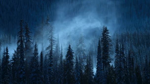 Powolny Ruch Mgły Toczący Się Zimą Nad Wzgórzami Lasem Sosnowym — Wideo stockowe