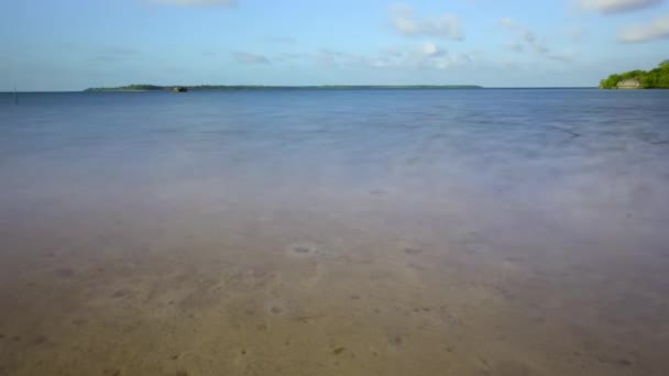 インドネシア沿岸の干潟でのマングローブの木潮の時間経過 — ストック動画