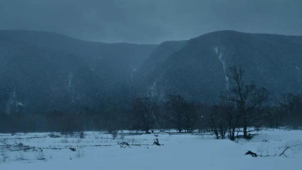 Vista Neve Inverno Coberto Picos Montanha Árvores Congeladas Temporada Inverno — Vídeo de Stock