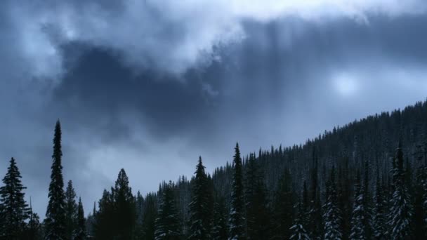 Widok Zimowych Pokrytych Śniegiem Szczytów Górskich Zamarzniętych Drzew Sezon Zimowy — Wideo stockowe