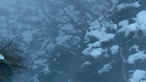 Macacos Nieve Japoneses Macaca Fuscata Bañándose Relajándose Piscina Termal Parque — Vídeo de stock