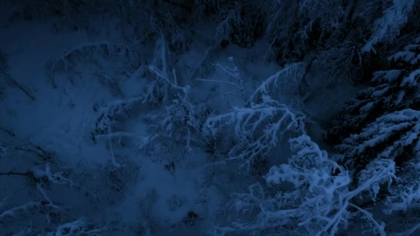 Вид Зимних Заснеженных Горных Вершин Замерзших Деревьев Зимний Сезон Гора — стоковое видео