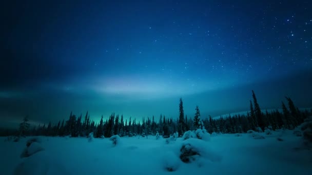 Время Северного Сияния Aufa Borealis Звездами Ночном Небе Высокой Арктике — стоковое видео