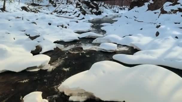 Letecký Pohled Horskou Řeku Protékající Zasněženým Lesem Bílá Zima Pokrytá — Stock video