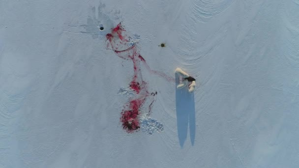 Kutup Ayısı Halkalı Bir Fok Avlar Onu Svalbard Bölgesinde Hayatta — Stok video