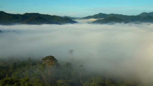 Sabah Borneo Malezya Daki Yağmur Ormanlarındaki Sis Hareketinin Zamanlaması — Stok video