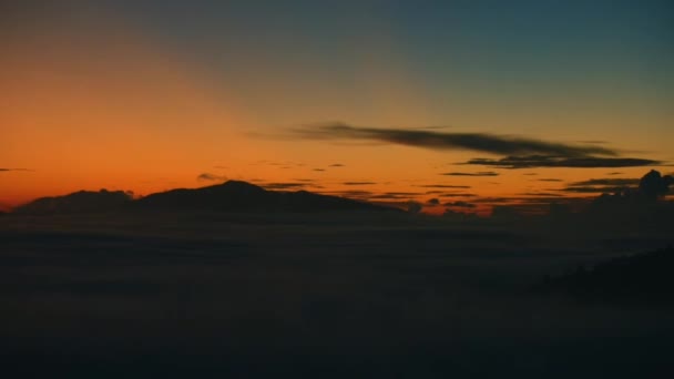 Зранку Туманний Ліс Туманом Світанком Деревах Променями Сонця Сабаху Борнео — стокове відео