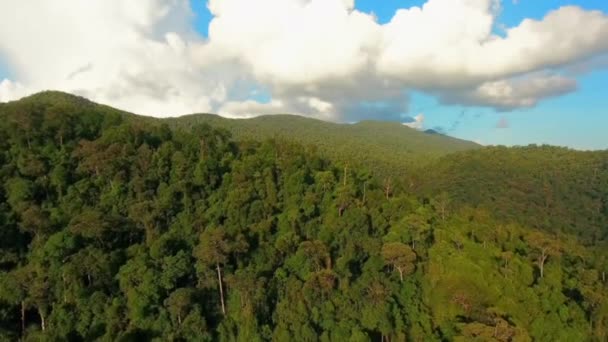 Aerial Tropical Rainforest Dipterocarp Trees Dipterocarpaceae Borneo Island Malásia — Vídeo de Stock