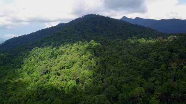 Aerial Tropical Rainforest Dipterocarp Trees Dipterocarpaceae Borneo Island Malaysia — Vídeos de Stock