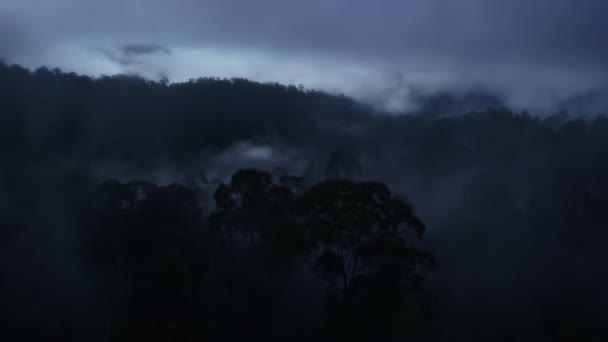 Зранку Туманний Ліс Туманом Світанком Деревах Променями Сонця Сабаху Борнео — стокове відео