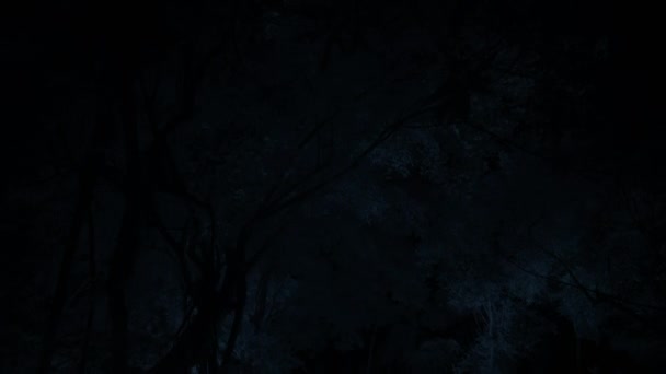 Вид Лесной Массив Ночное Время Панталоне Бразилия Инфракрасная Камера — стоковое видео