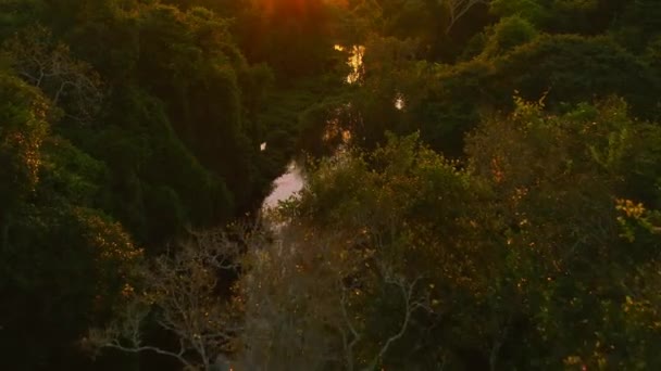 Aerial View Sunlit Forest Mountains Serra Bocaina National Park Sunset — Stockvideo