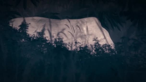Widok Azjatyckiego Słonia Spacerującego Lesie Scenie Nocnej Borneo Malezja Kamera — Wideo stockowe