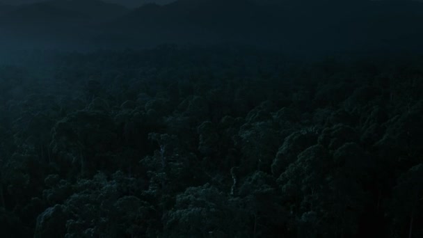 Vista Aérea Selva Tropical Por Noche Borneo Malasia — Vídeo de stock