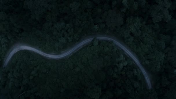 Letecký Pohled Deštný Prales Noci Borneo Malajsie — Stock video