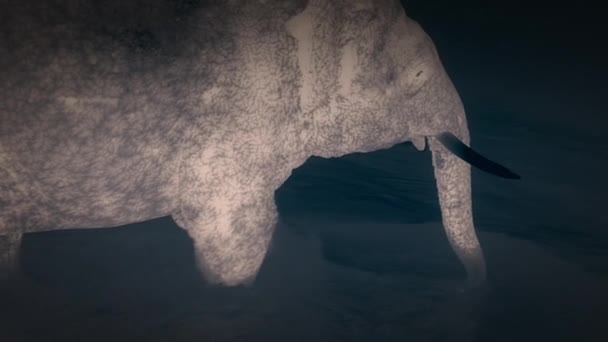 Africký lesní slon (Loxodonta cyclotis) přechází řeku, Konžskou pánev. Termální detekční kamera v noci.