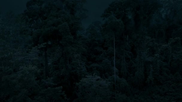 Vista Aérea Selva Tropical Por Noche Borneo Malasia — Vídeos de Stock