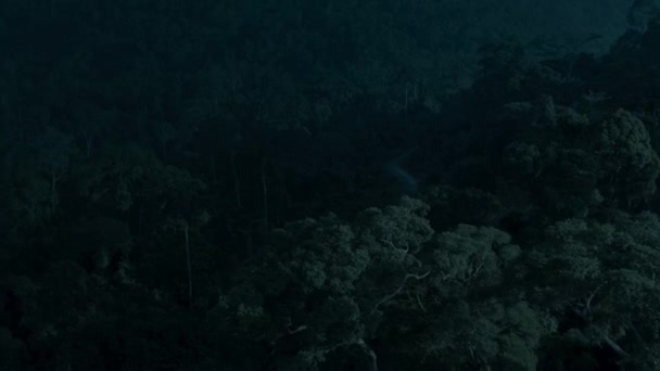 Letecký Pohled Deštný Prales Noci Borneo Malajsie — Stock video