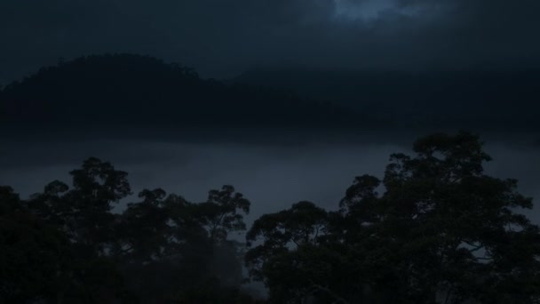 Misty Forest Evening Fog Moonlight Treetops Sabah Borneo Malaysia — Stockvideo