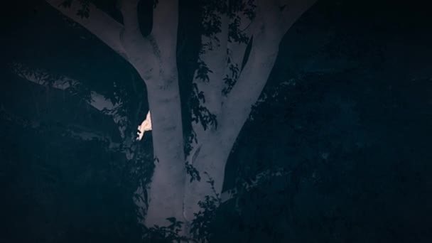 Оцелот Leopardus Pardalis Вночі Лазить Дерево Шукаючи Здобич Водно Болотних — стокове відео