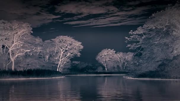 Waterways Forest Pantanal Wetlands Brazil Thermal Detecting Camera Night — Stockvideo