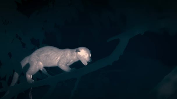 Small Toothed Palm Civet Arctogalidia Trivirgata Sitting Branch Eating Figs — Vídeos de Stock