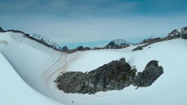 Luchtfoto Van Gentoo Penguins Pygoscelis Papua Kolonie Komen Tot Nesten — Stockvideo