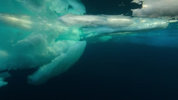 Undervattensbild Isflaken Smälter Sommaren Arktiska Havet Kanada Sett Underifrån — Stockvideo