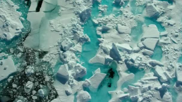 Flygfoto Över Sprickor Smältande Havsis Norr Kanadensiska Arktiska Havet Sommaren — Stockvideo