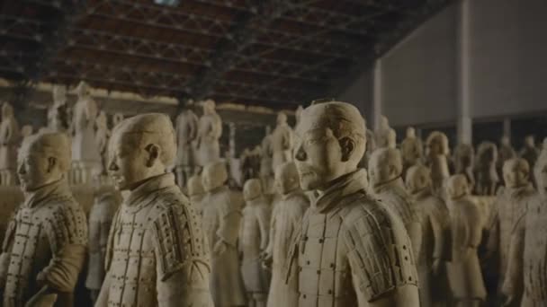 2016年4月 兵马俑兵马俑收藏了中国西安秦始皇的兵马俑雕塑 — 图库视频影像